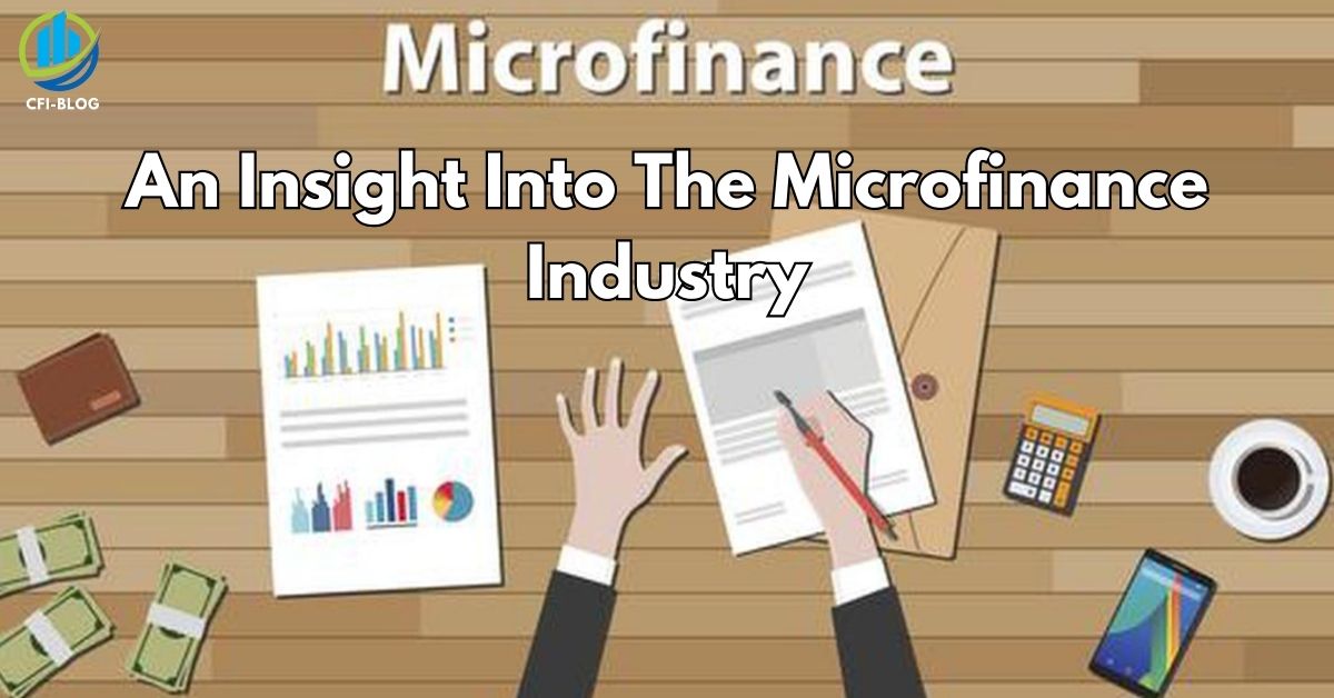 An Insight Into The Microfinance Industry