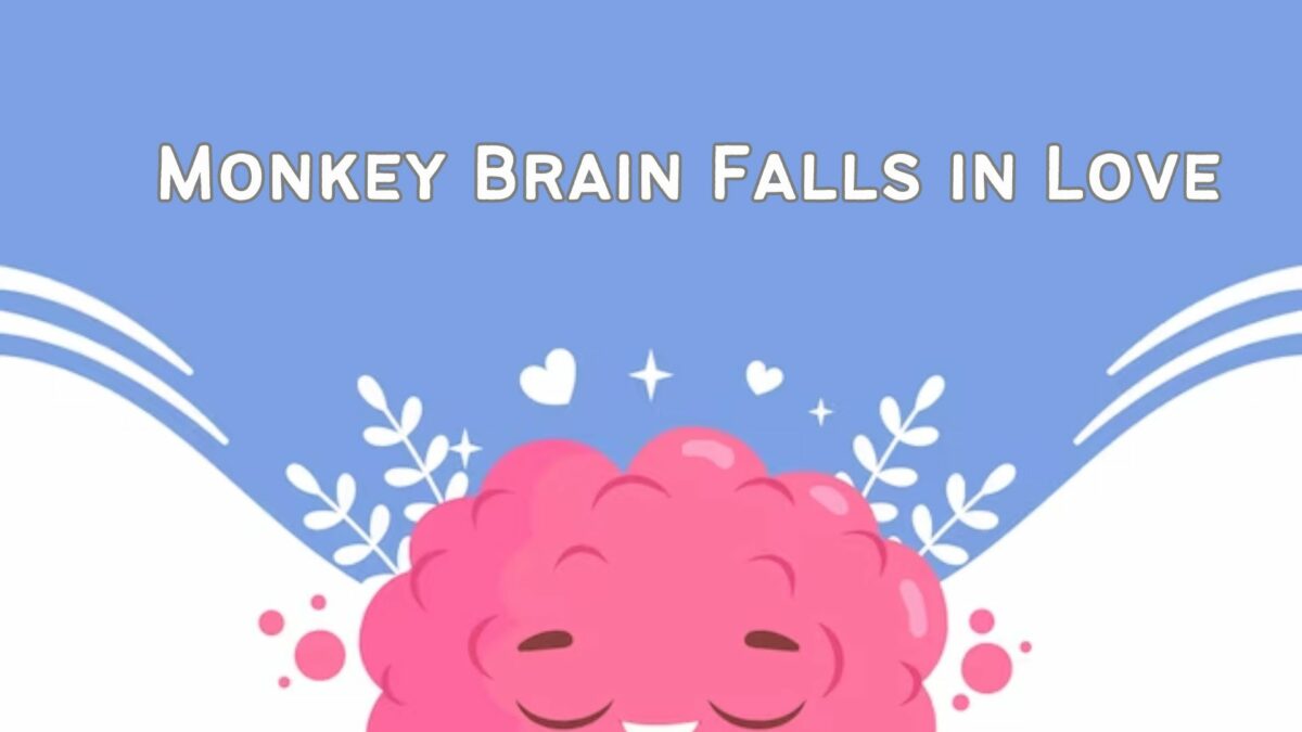 Monkey Brain Falls in Love