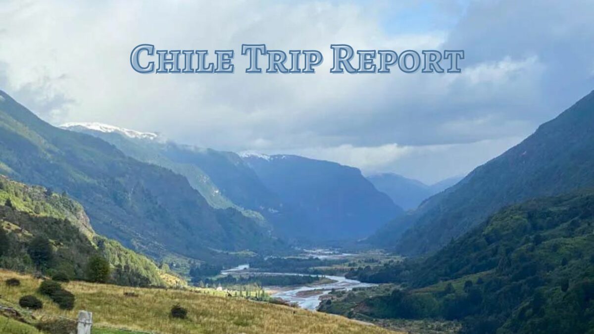 Chile Trip Report