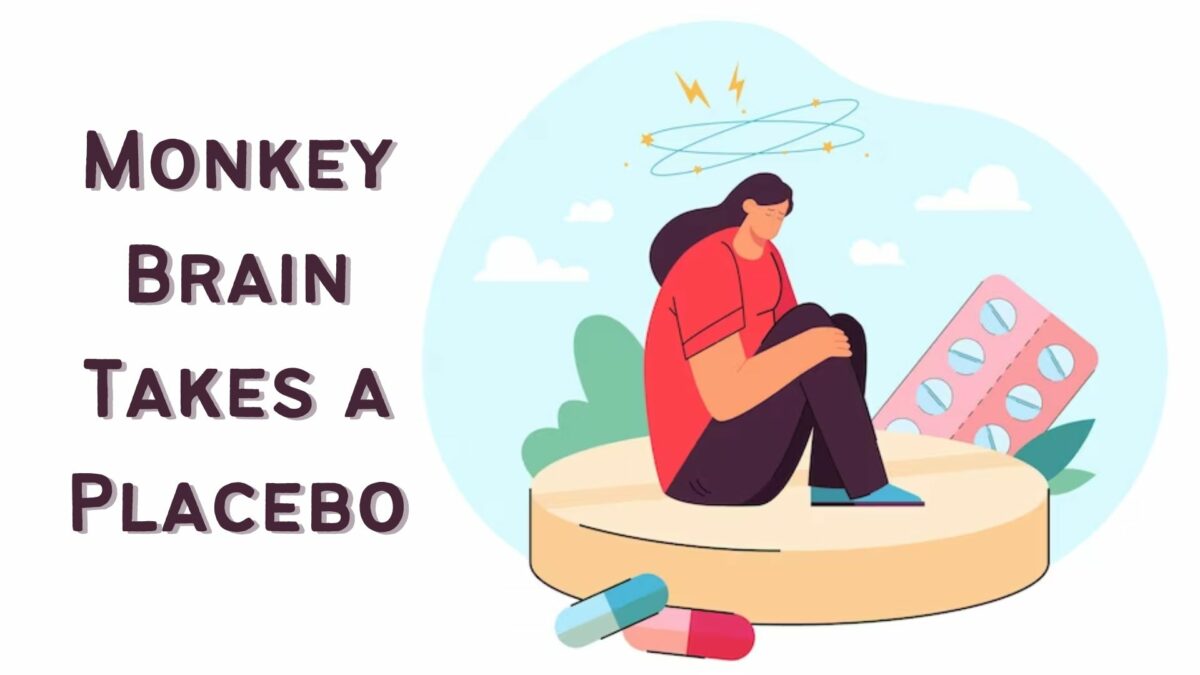 Monkey Brain Takes a Placebo