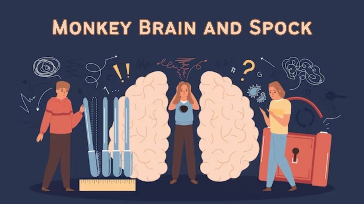 Monkey Brain and Spock