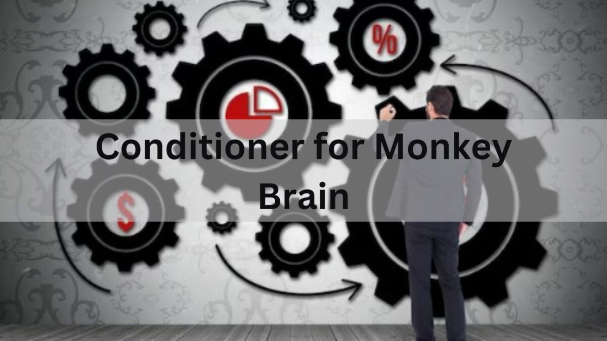 conditioner for monkey brain