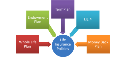 Type of Insurance Policy 