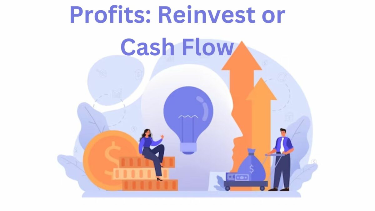 Profits: Reinvest or Cash Flow